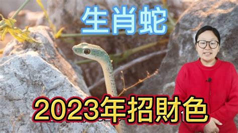 蛇的幸運顏色|2024屬蛇幾歲、2024屬蛇運勢、幸運色、財位、禁忌